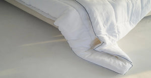 Duvet Insert & 2 Four Season Pillow