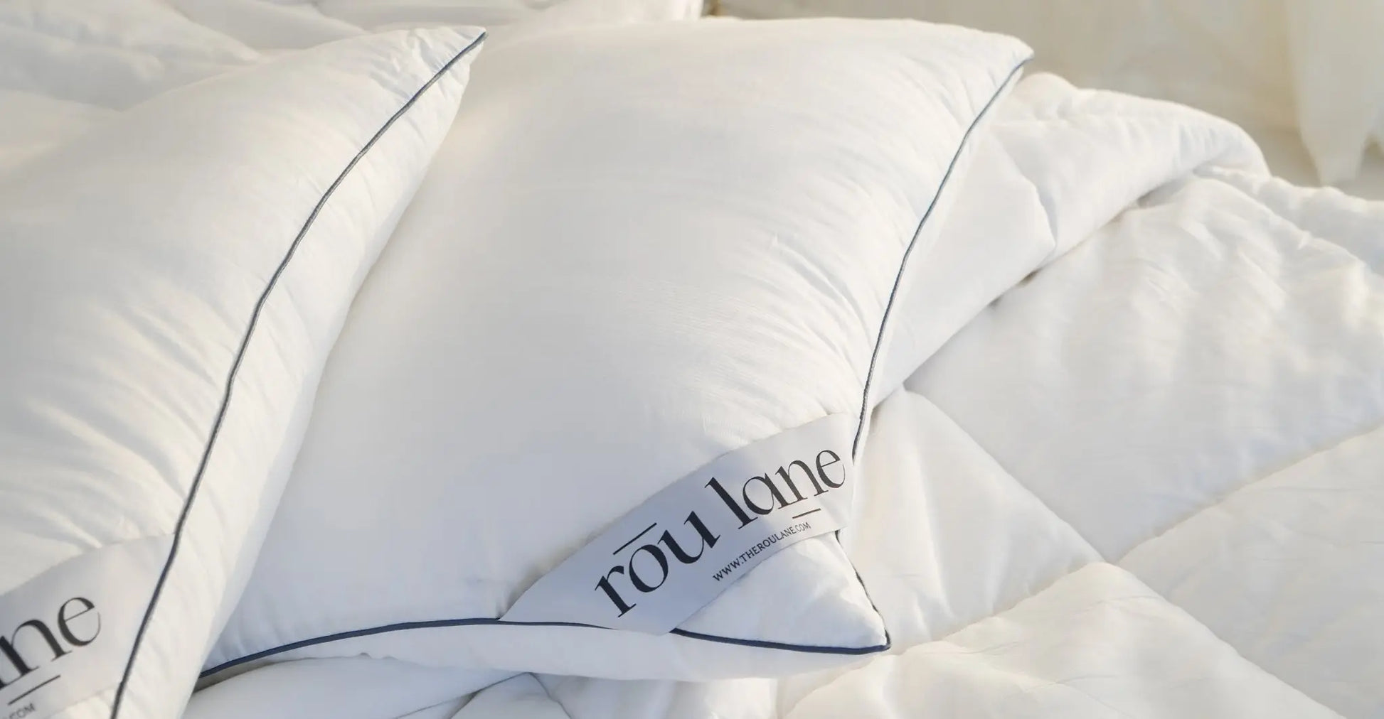 Duvet Insert & 2 Four Season Pillow